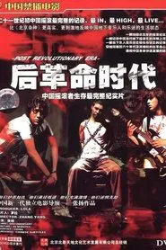The Underground Rock and Roll in China movie poster