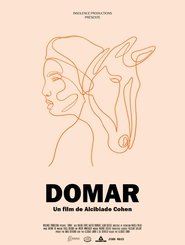 Domar movie poster
