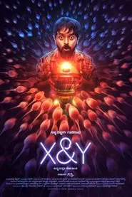 Poster do filme X & Y