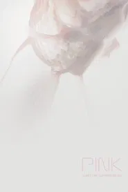 Pink movie poster