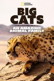 Big Cats: An Amazing Animal Family tv show poster