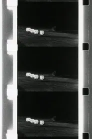 Poster do filme Playing Dice