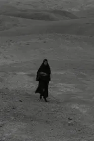 The Visitor movie poster