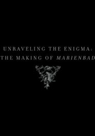 Unraveling the Enigma: The Making of Marienbad movie poster