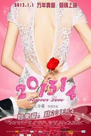 Poster do filme 201314