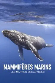 Mammifères marins, les maîtres des abysses movie poster