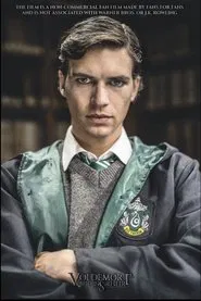 Poster do filme Voldemort: Origins of the Heir