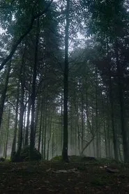 How to Grow a Walking Tree? movie poster