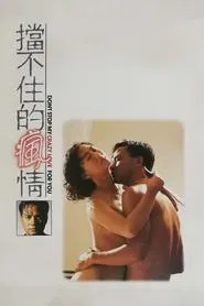 Don't Stop My Crazy Love for You movie poster