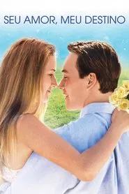 Poster do filme Seu Amor, Meu Destino
