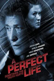 A Perfect Life movie poster