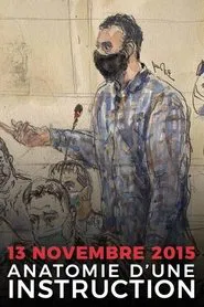 13 novembre 2015 : anatomie d'une instruction movie poster