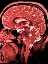 Seconds movie poster