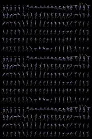 Olympic Body movie poster