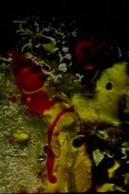 vitrum illuminatus movie poster