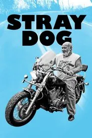 Stray Dog movie poster