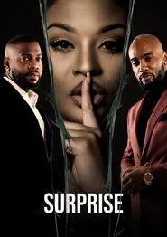 Poster do filme Surprise
