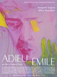 Farewell Emile movie poster