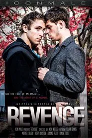 Poster do filme Revenge