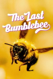 Poster do filme The Last Bumblebee