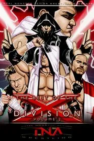 The Best of the X Division Vol. 2 movie poster