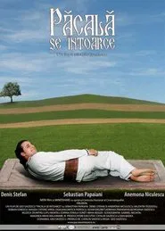 Păcală se întoarce movie poster