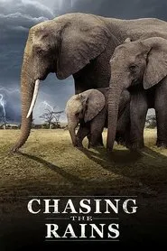 Chasing the Rains tv show poster