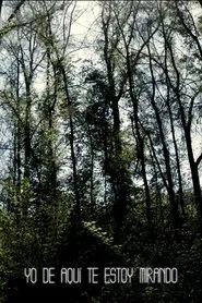 I'm Always Looking from Here movie poster