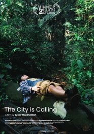 The City is Calling movie poster