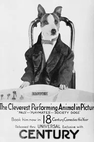 Society Dogs movie poster