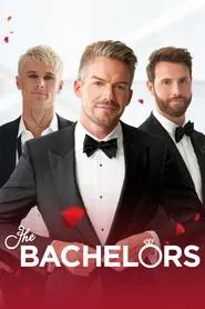 The Bachelor Australia tv show poster