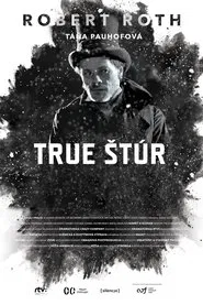 Poster do filme True Štúr