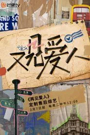 Long Time No See tv show poster