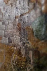 Push the Door Softly and Walk in, Or Just Stay Standing Where You Are movie poster