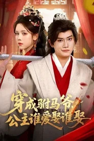 穿成驸马爷，公主谁爱娶谁娶 tv show poster