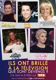 Ils ont brillé à la télé : que sont-ils devenus ? movie poster