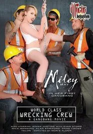 World Class Wrecking Crew: A Gangbang Movie movie poster