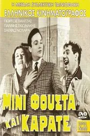 Μίνι Φούστα Και Καράτε movie poster