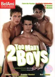 Poster do filme Too Many Boys 2