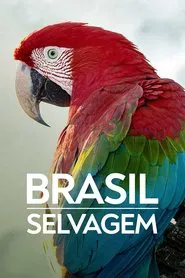 Poster da série Brasil Selvagem