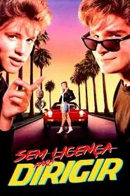 Poster do filme Sem Licença para Dirigir