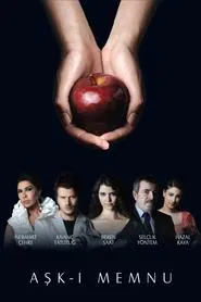 Forbidden Love tv show poster