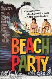 Poster do filme A Praia dos Amores