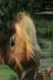 Untitled 2 (Kiss me.) movie poster