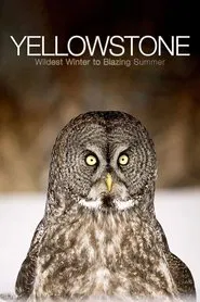 Yellowstone: Wildest Winter to Blazing Summer tv show poster