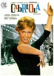 Every Day Is a Holiday movie poster