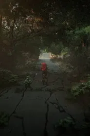 Struggling to Survive: Before the Dawn of the Apes (Year 5) movie poster