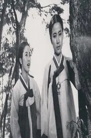 Wedding day movie poster