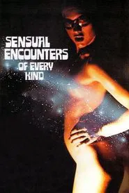 Poster do filme Sensual Encounters of Every Kind