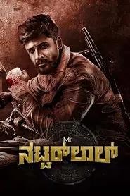 Poster do filme Mr. Natwarlal